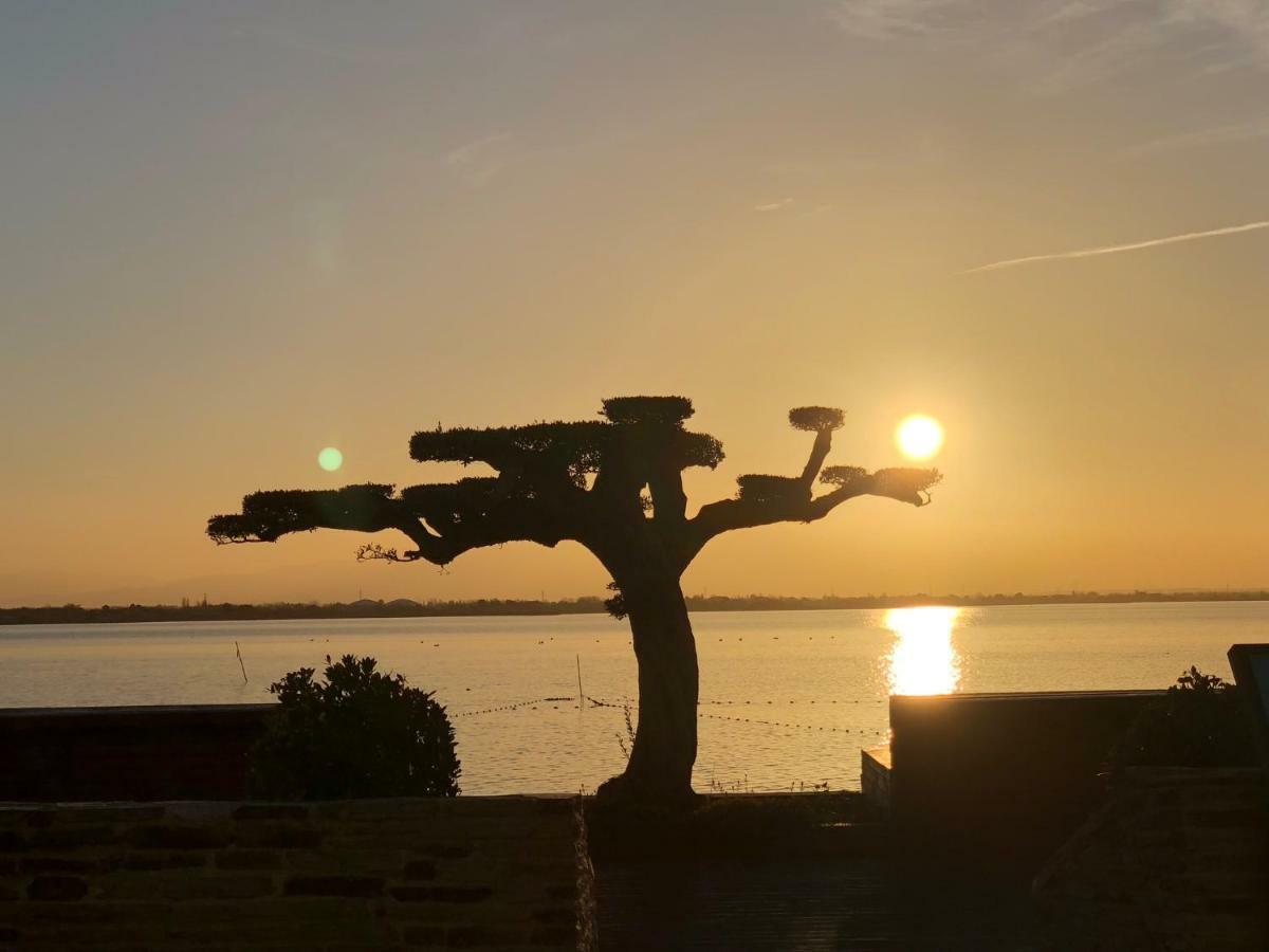 Barcaresa-Charmant T 2 Vue Mer Pied Dans L'Eau Le Barcarès Exterior foto